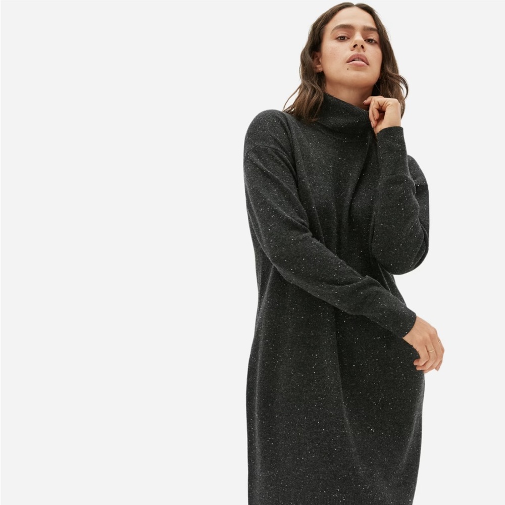Everlane The Cashmere Black Turtleneck Sweater